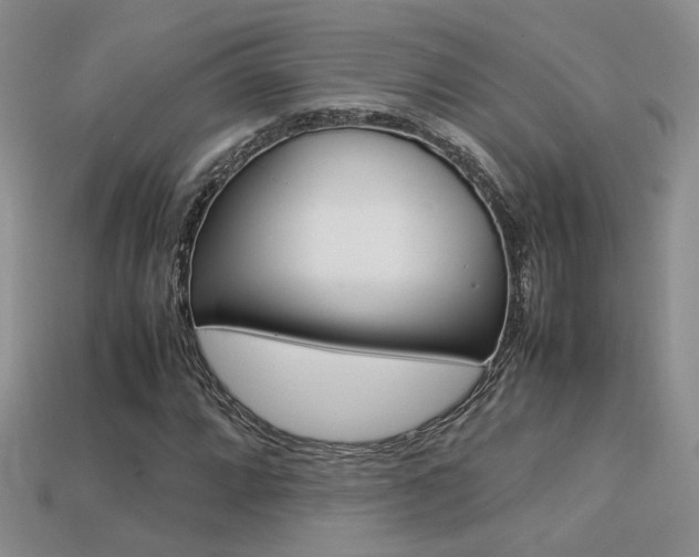 X0000113311064200909141001
