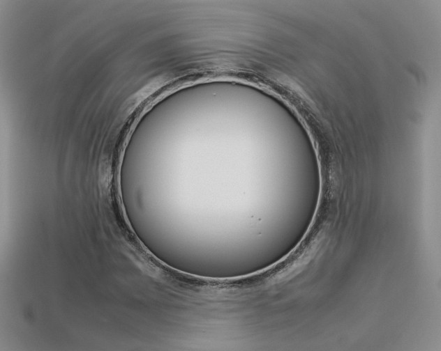 X0000113311065200909141001