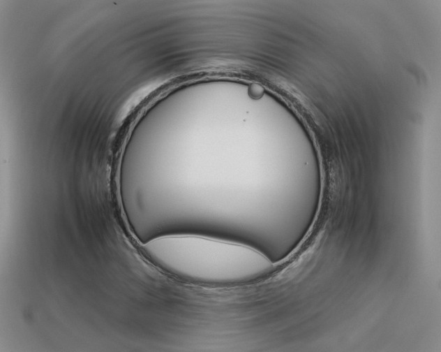 X0000113311066200909141001