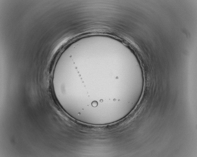 X0000113311067200909141001