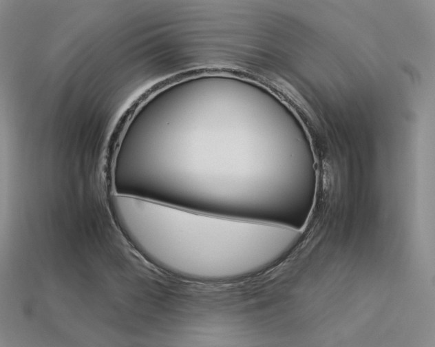 X0000113311068200909141001