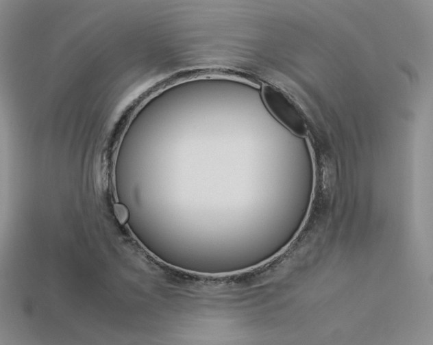 X0000113311069200909141001