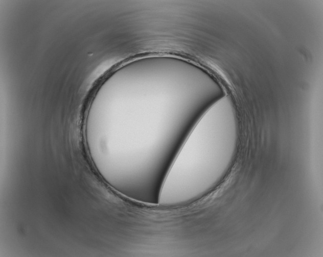 X0000113311071200909141001
