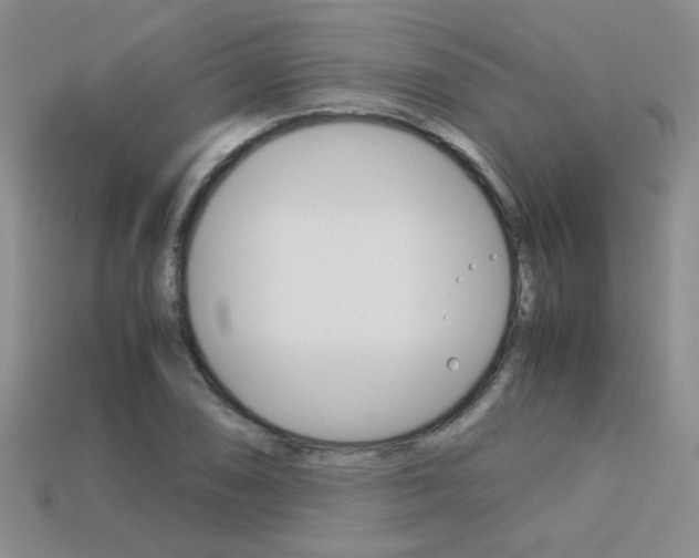 X0000113311074200909141001