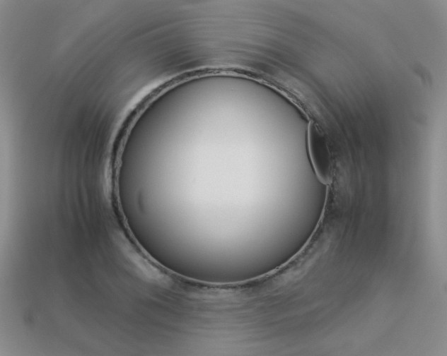 X0000113311076200909141001