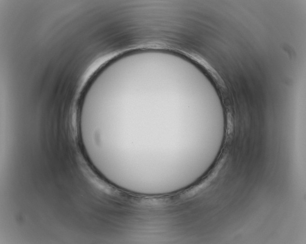 X0000113311078200909141001