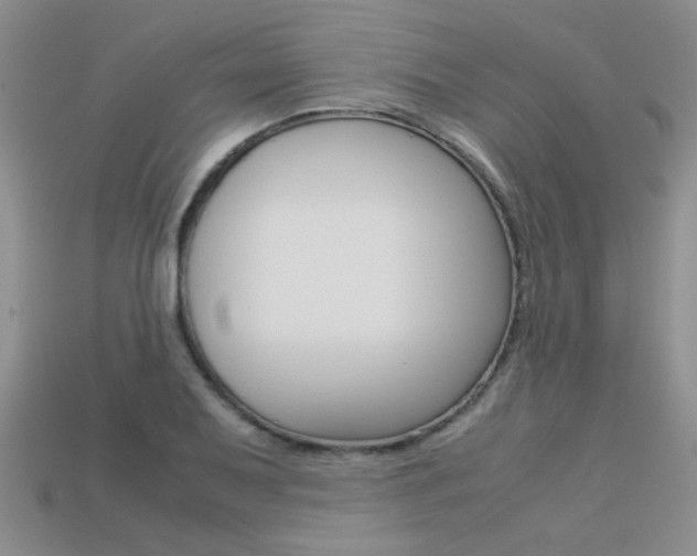 X0000113311079200909141001