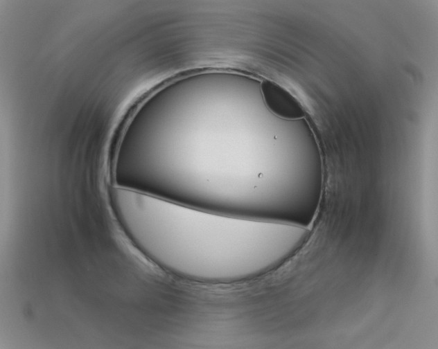 X0000113311080200909141001