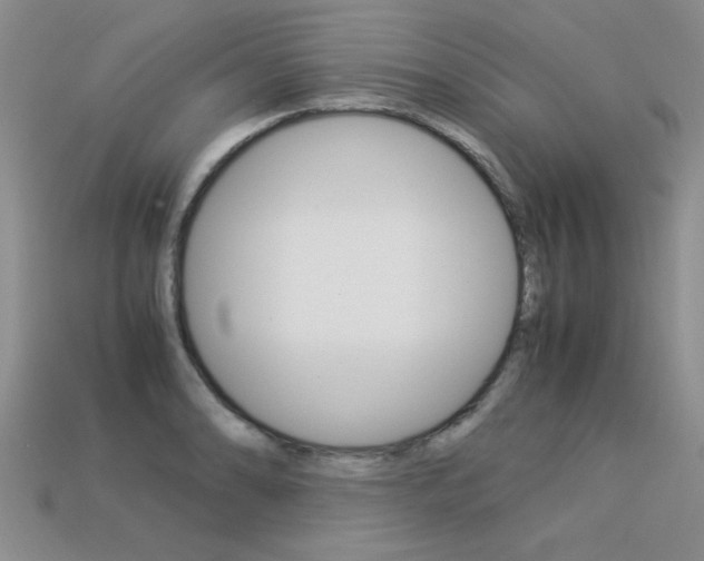 X0000113311086200909141001