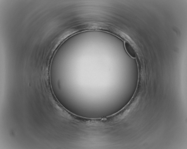 X0000113311089200909141001