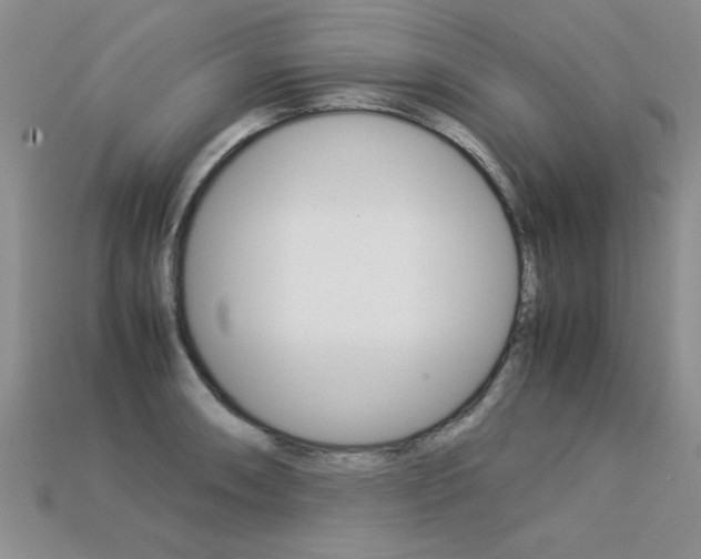 X0000113311090200909141001