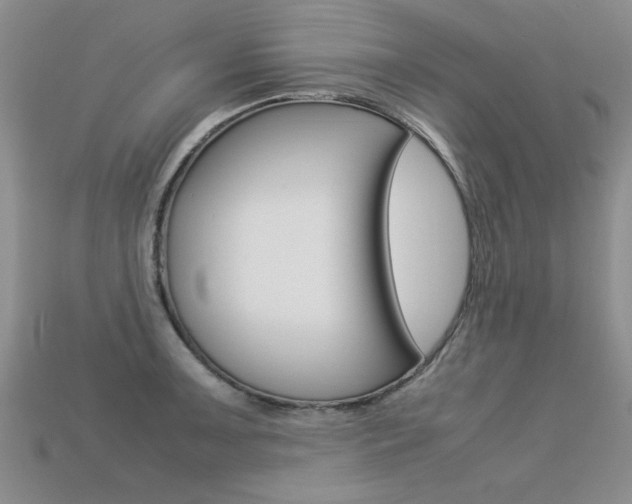 X0000113311091200909141001