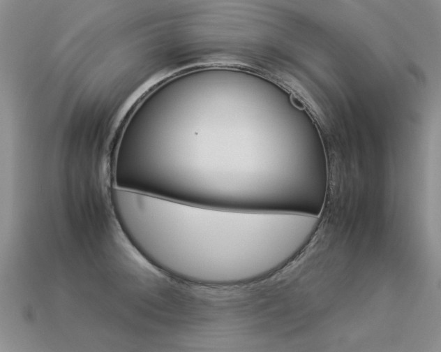 X0000113311092200909141001