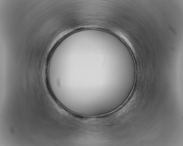 X0000113311093200909141001