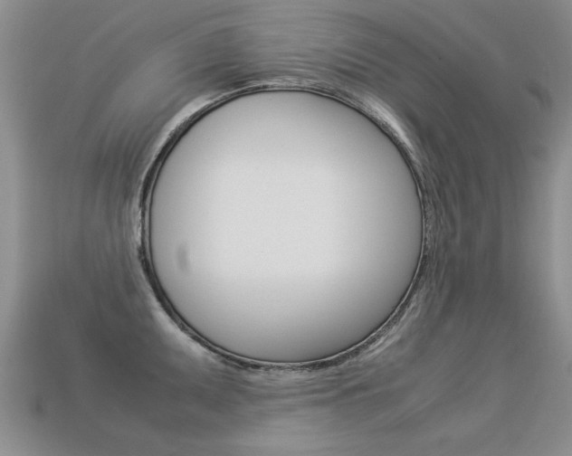 X0000113311095200909141001