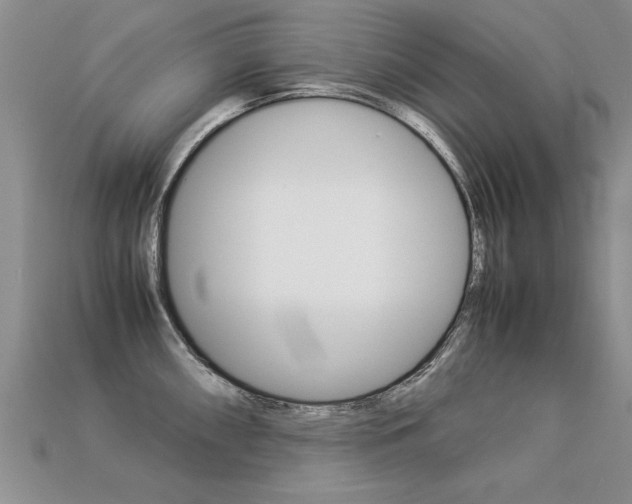 X0000113311098200909141001