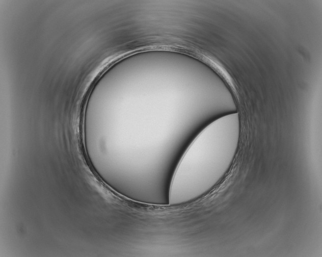 X0000113311099200909141001