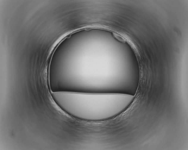 X0000113311100200909141001