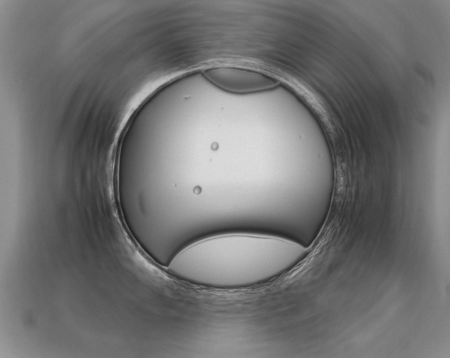 X0000113311102200909141001