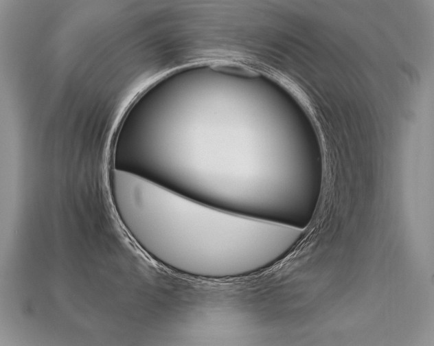 X0000113311104200909141001