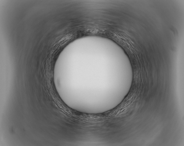 X0000113311105200909141000