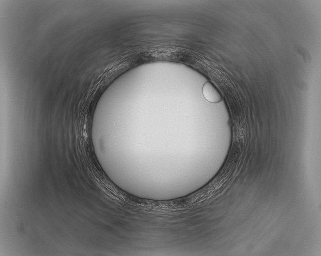 X0000113311106200909141000
