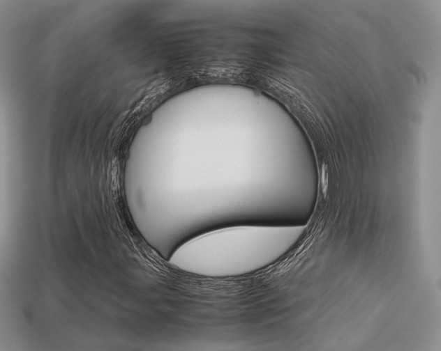 X0000113311107200909141000