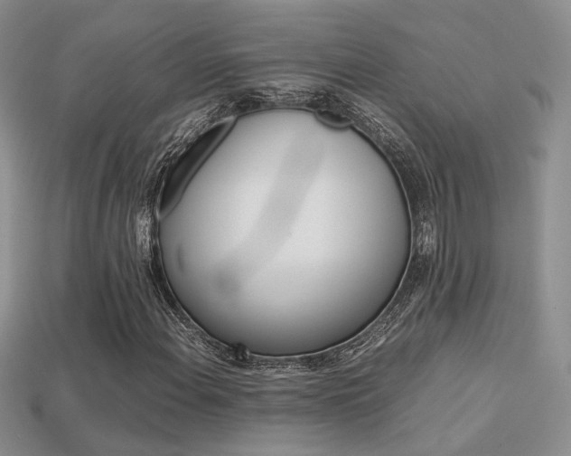 X0000113311108200909141000