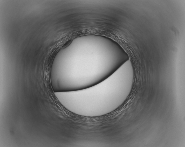 X0000113311109200909141000