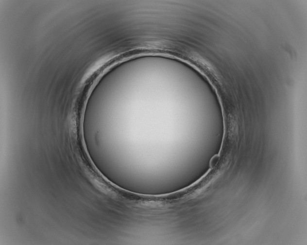 X0000113311114200909141000