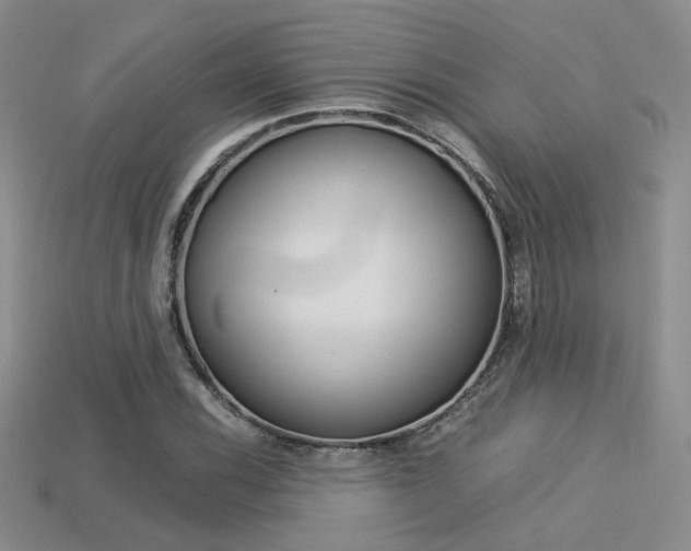 X0000113311116200909141000