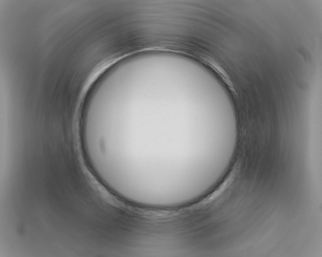 X0000113311122200909141000