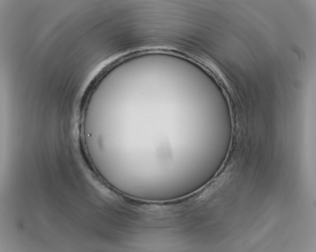 X0000113311124200909141000