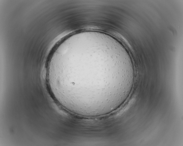 X0000113311125200909141000