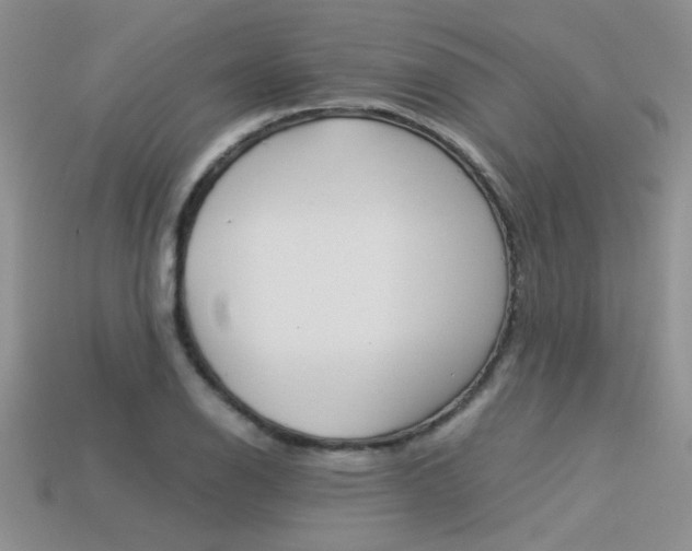 X0000113311126200909141000