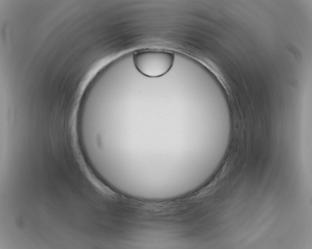 X0000113311128200909141001