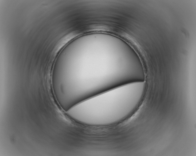 X0000113311129200909141001