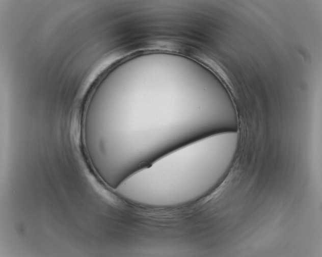 X0000113311131200909141001