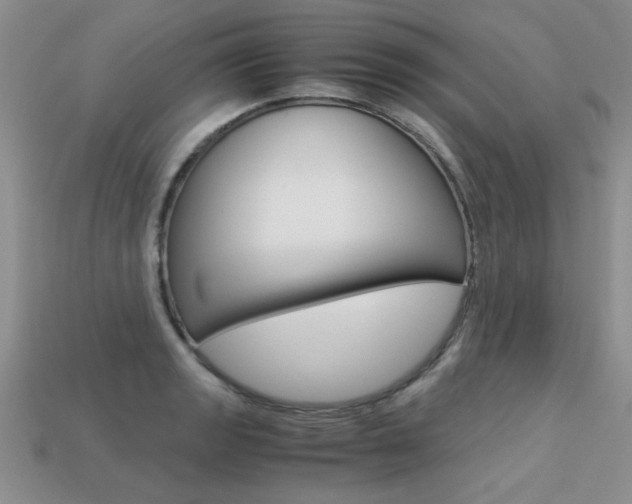 X0000113311133200909141001