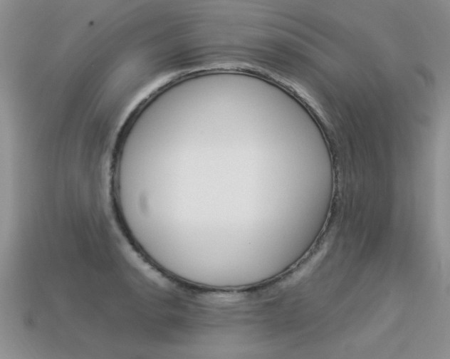X0000113311134200909141001
