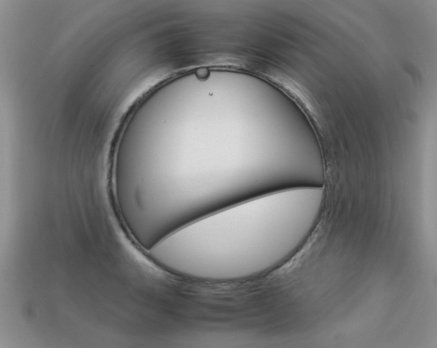 X0000113311135200909141001