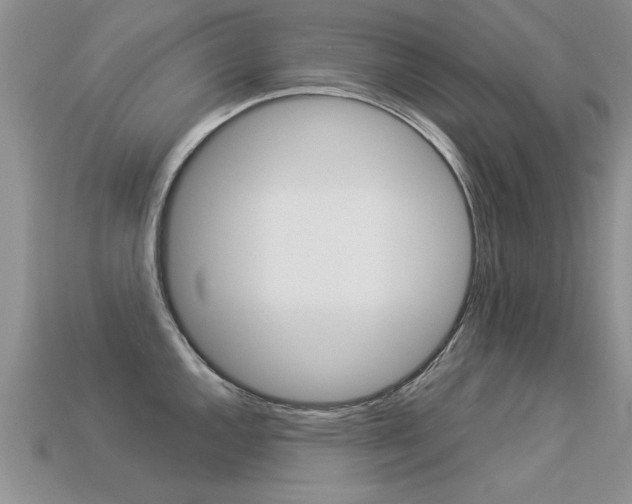 X0000113311144200909141001