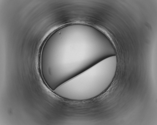 X0000113311147200909141001