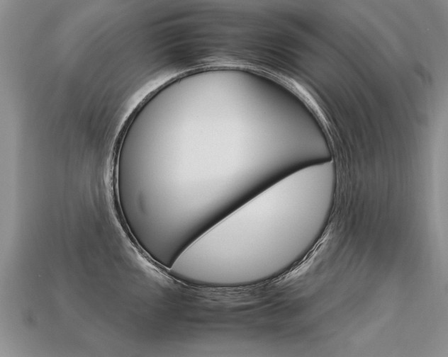 X0000113311149200909141001