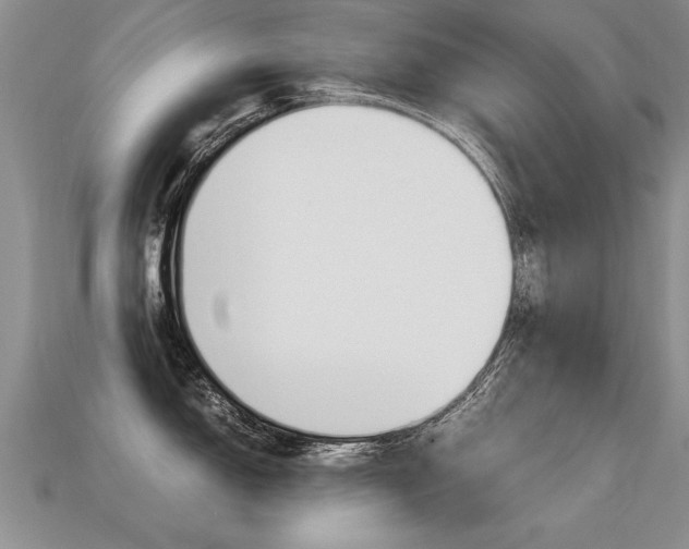 X0000113311150200909141001