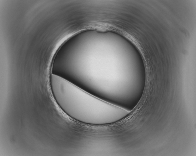X0000113311152200909141001