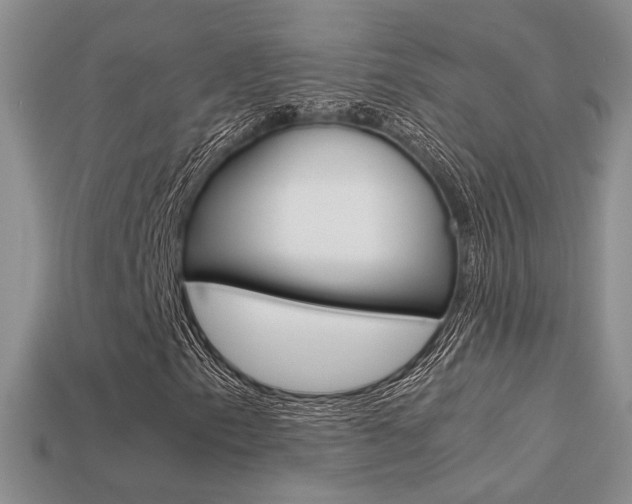 X0000113311153200909141000