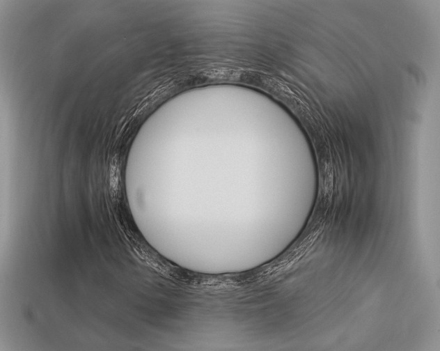 X0000113311154200909141000
