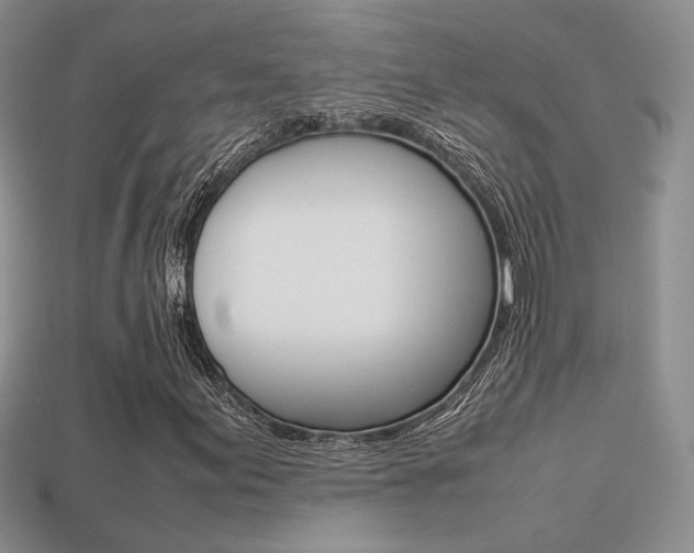 X0000113311155200909141000