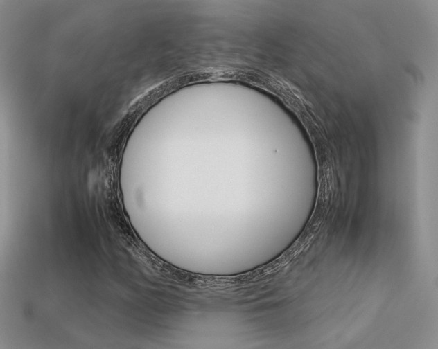 X0000113311158200909141000